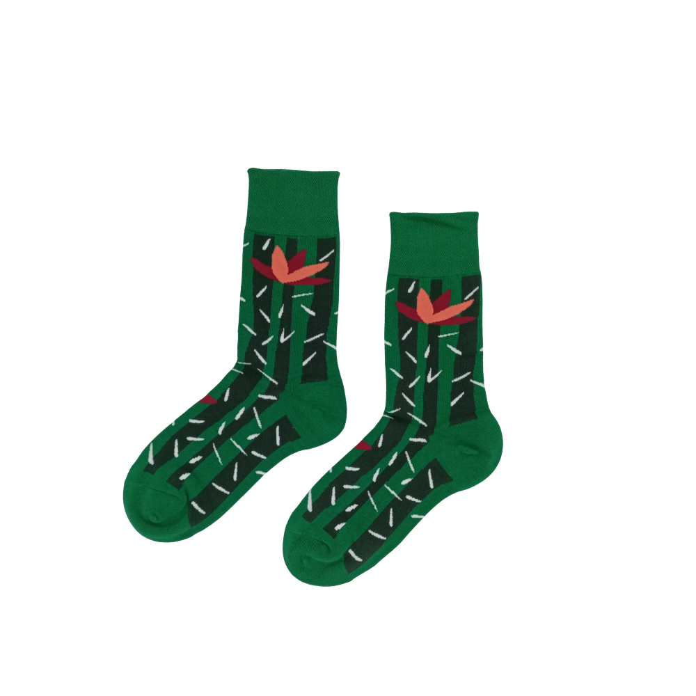 Green cactus graphic cotton socks with red flower detail – Desert Bloom by ComfySocks